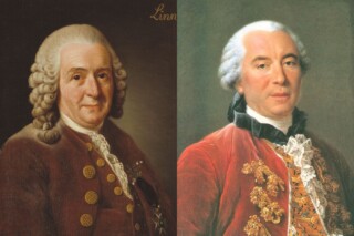 Carl Linnaeus en Georges-Louis Leclerc de Buffon