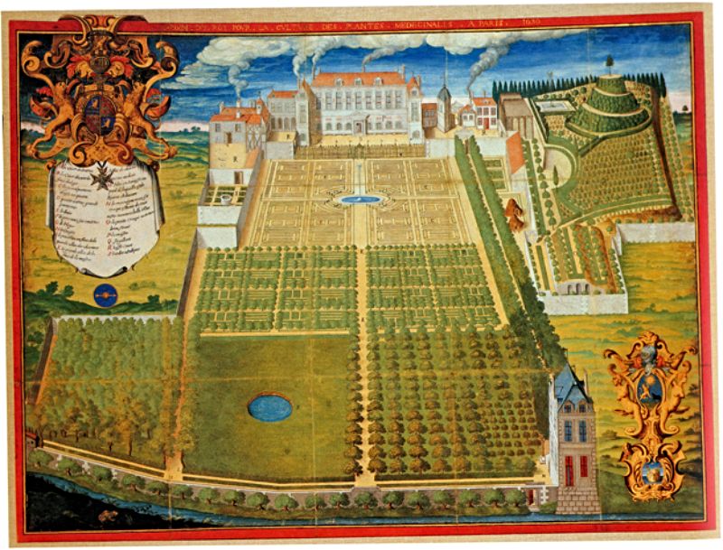 Plattegrond van de Jardin du Roi in Parijs, 1636