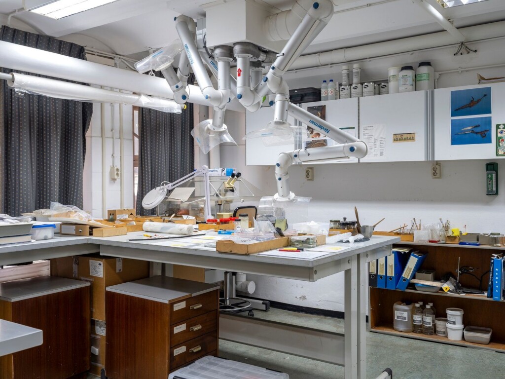 Archeobotanisch Lab Groningen