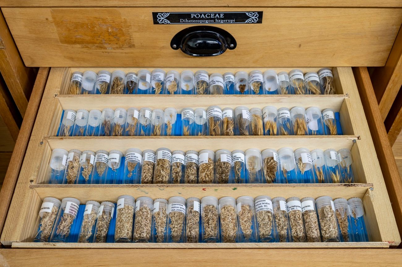Archeobotanisch Lab Groningen, referentiecollectie