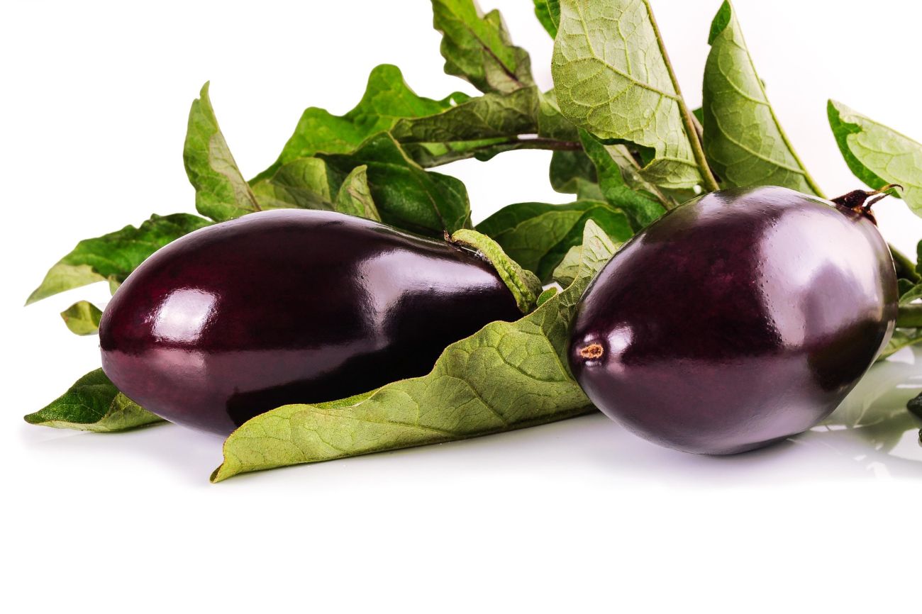 Herkenbare aubergines, of eierplanten...