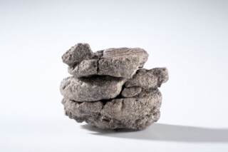 Fragment van het dinosaurusbot dat werd aangetroffen op 232 meter diepte onder de parkeerplaats van het Denver Museum of Nature & Science