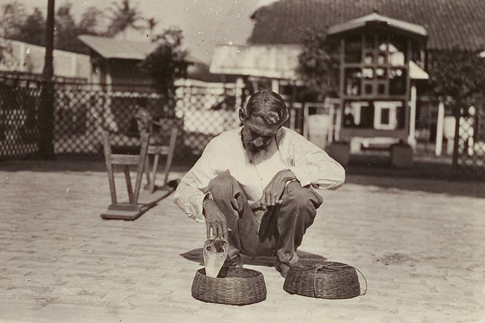 Indonesische man met een cobra in een mandje
