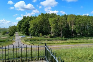 Zicht op het Ambonezenbosje in de Carel Coenraadpolder bij Finsterwolde
