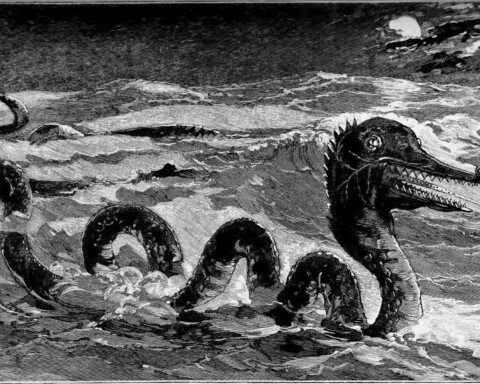 Het zeemonster dat de heer C. Renard zou hebben waargenomen in de Atlantische oceaan