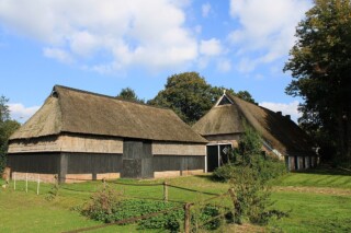 Wat deden Amerikaanse antropologen tijdens de Koude Oorlog in een Drents boerendorp?