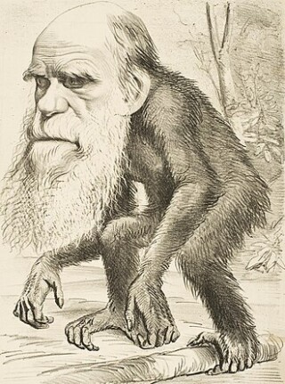 Cartoon van Charles Darwin als aap, een satirische afbeelding uit de jaren 1870.