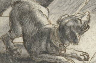 Detail van de hond, Adriaen Pietersz van de Venne