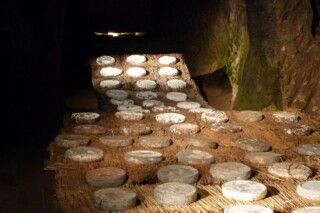 Traditionele Saint-Nectaire kazen die rijpen in de grot van ferme Bellonte, Frankrijk.