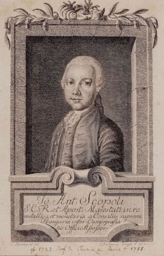 Giovanni Antoni Scopoli