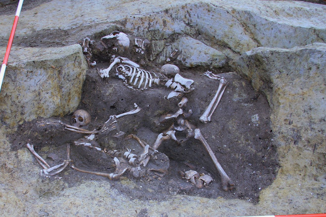 Enkele van de gevonden skeletten