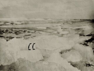 © Erik Hijweege