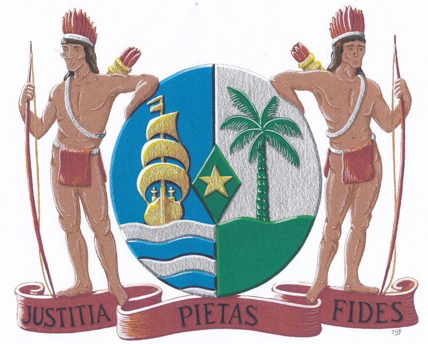 Ondanks de onafhankelijkheid behield Suriname de koloniale symbolen op het nieuwe staatswapen.