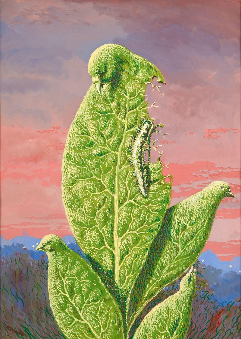 De smaak van tranen - René Magritte