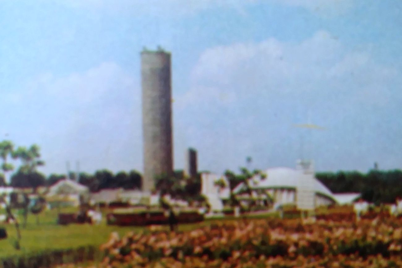 De torenkas (Szklarnia wieżowa)
