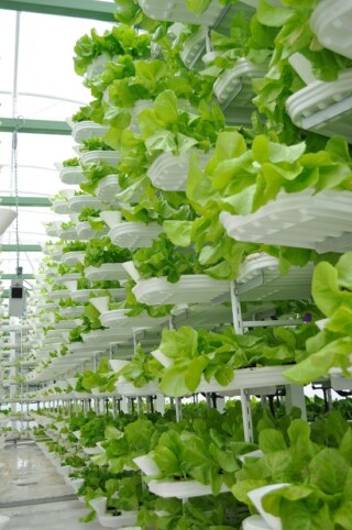 VertiCrop, een modern systeem voor verticale landbouw
