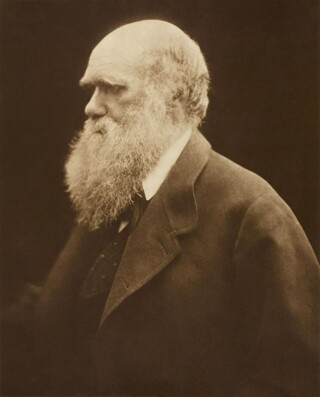Charles Darwin in 1862