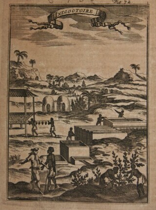 indigo plantage