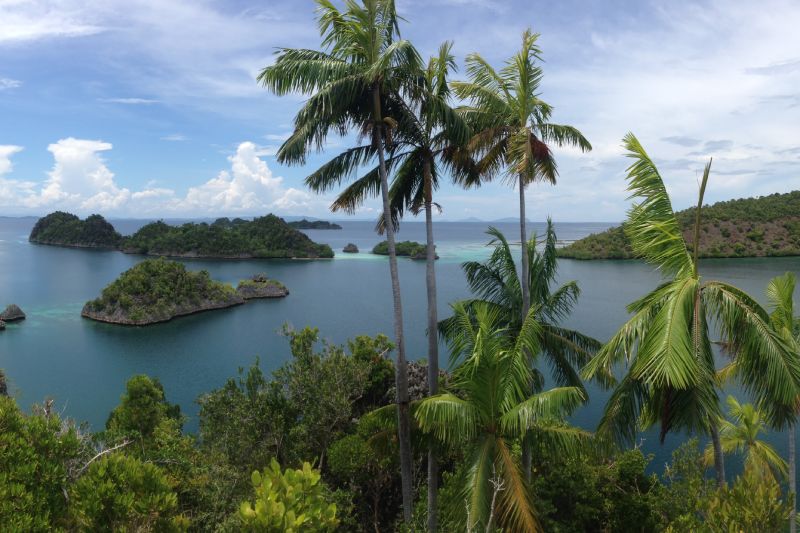 Een aantal eilanden in Raja Ampat in West-Papoea