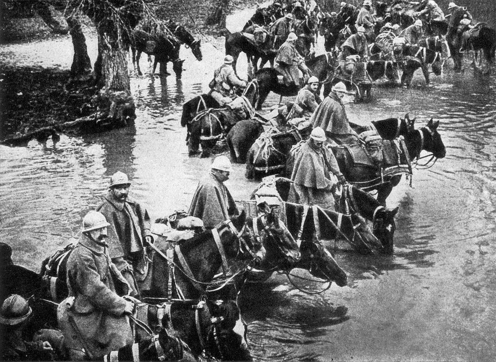 paarden verdun