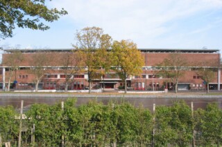 Eiken bij het Olympisch Stadion in Amsterdam