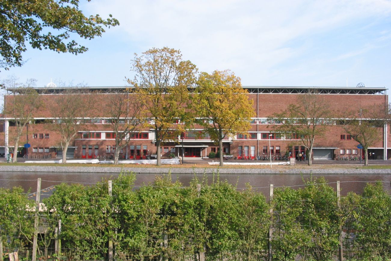 Eiken bij het Olympisch Stadion in Amsterdam