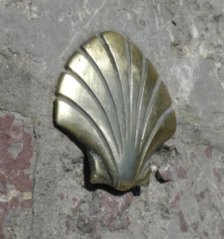 De schelp van Sint-Jakob