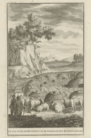 Khoikhoi bij een kraal met hun vee - Jan Caspar Philips, 1727
