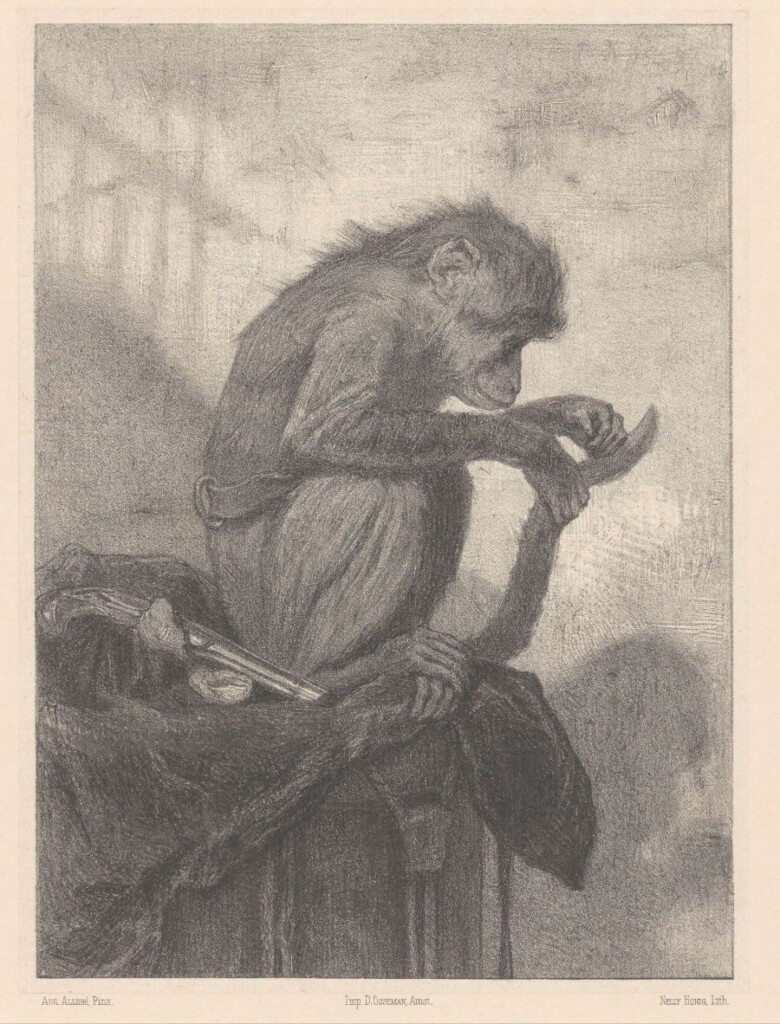 Nelly Honig aapje