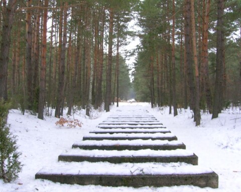Aktion Reinhard treblinka