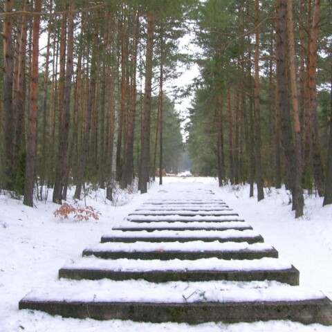 Aktion Reinhard treblinka