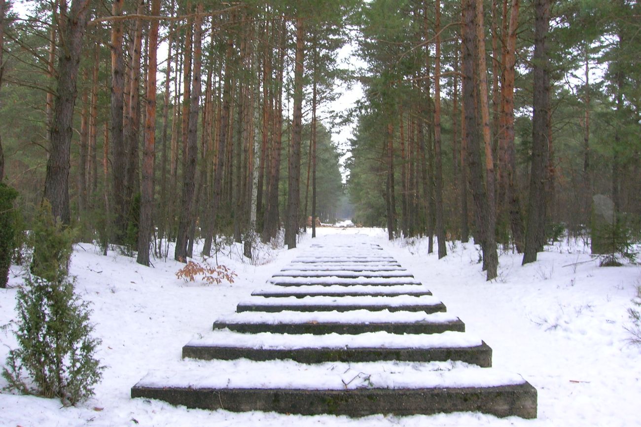 Aktion Reinhard treblinka