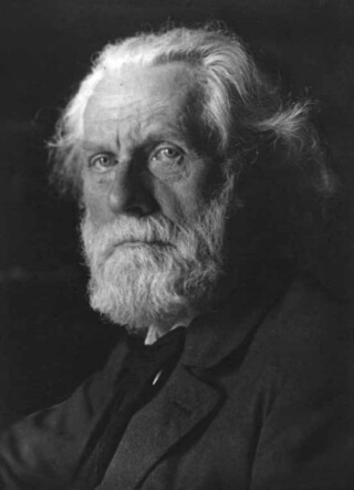 Ferdinand Domela Nieuwenhuis, 1846-1919