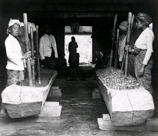 coca java