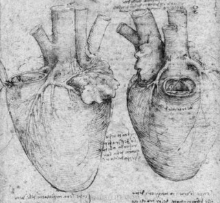 da vinci hart