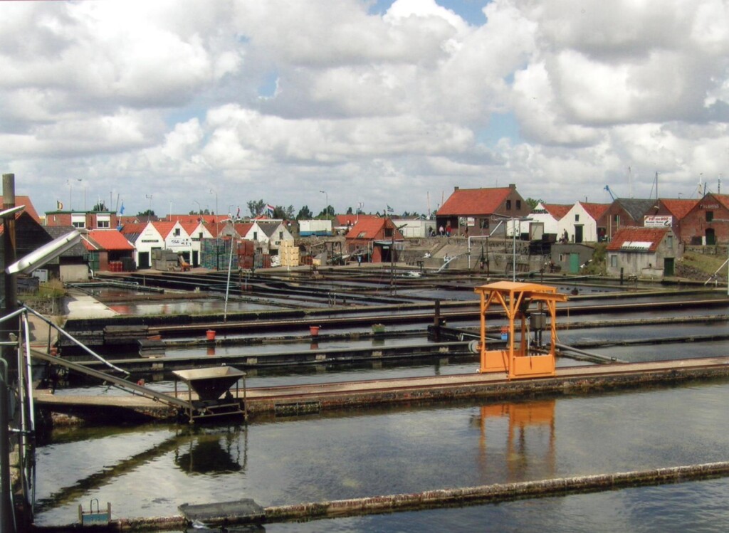 Yerseke oesterputten