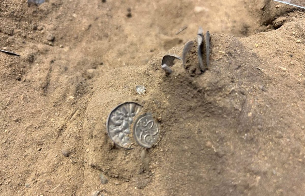 Twee Vikingschatten gevonden in Denemarken